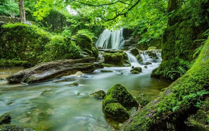 高质量独特高端